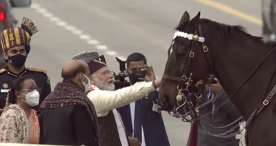 Virat, elite horse of president's guard, retires