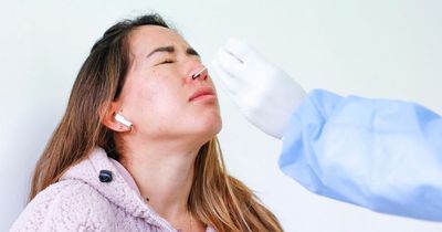 PCR test supplier forced to pay refunds - how you can get your money back