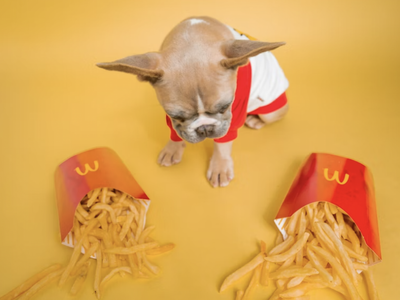 Dogecoin Gets High On McDonald's Buzz — But Is It Burger King That Really Stole The Show?