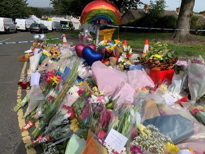 Murder suspect caused deaths of mother and three children, court told