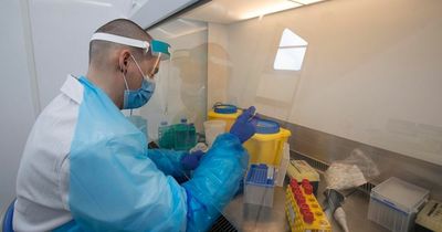 Concern as new Covid variant BA.2 now makes up around half of Omicron cases in Denmark