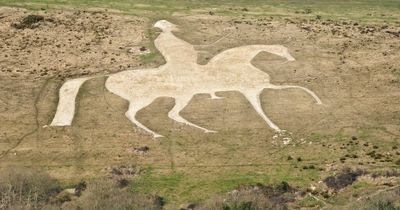 200-year-old hillside chalk figure vanishes after pandemic neglect