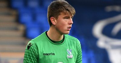 Portsmouth FC sign Northern Ireland Under 21 goalkeeper Ollie Webber