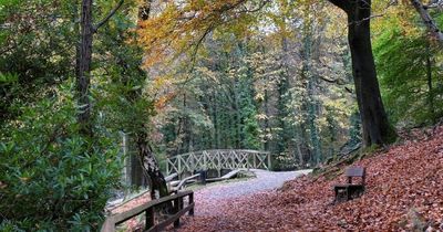 Vehicle stolen and dumped in latest round of vandalism at Gnoll Country Park in Neath