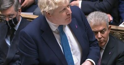 Boris Johnson accused of 'fat-shaming' after joking about cake at PMQs