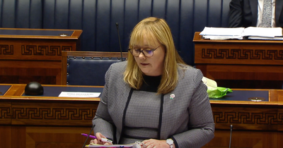 Education Minister says 'considerable work' being done on sex education in NI schools