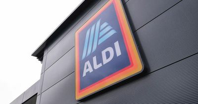 Aldi releases 'excellent' £34.99 specialbuy storage ladder