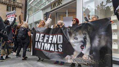 PETA Sues for Its Free Speech Rights, Again