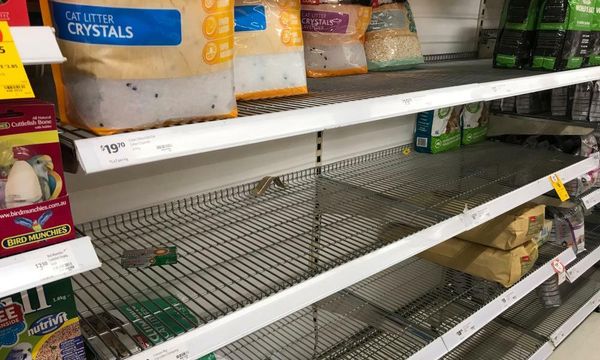 The market thinks rates are about to go up because of inflation. The market could be wrong