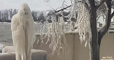 Man finds nightmarish 'Grim Reaper' ice figures outside his home