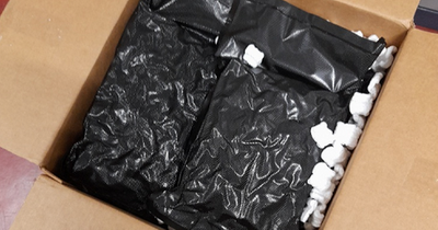 Cannabis worth €100,000 seized by gardai and Revenue in Ballymun raid