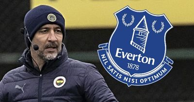 Vitor Pereira's Sky Sports phone call was car crash television for Everton and Farhad Moshiri