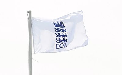 ECB warned further action can be taken if racism problem is not dealt with