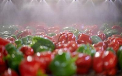 Unlock India’s food processing potential