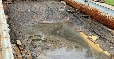Couple uncover and restore pool that hasn't been touched in 20 years