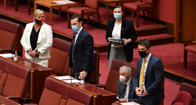 Coalition senators back pandemic inquiry