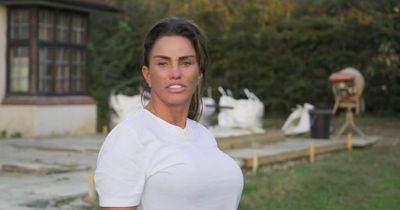 Katie Price fans baffled over how bankrupt star can afford mucky mansion renovations