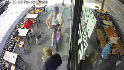 Trial for e-scooters in Hobart should be paused amid injuries and 'deep concerns', two councillors say