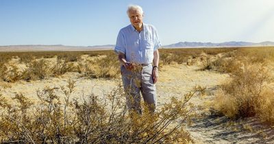 David Attenborough revisits desert plant he filmed 40 years ago