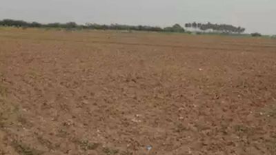 31 STPs to come up on litigation-free land