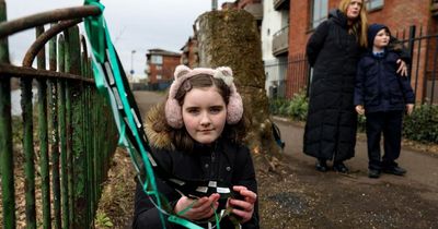 South Belfast school children place ribbons at site of chopped down trees