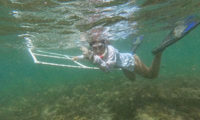 Coral crusaders: Costa Rica’s young divers learn to protect their seas