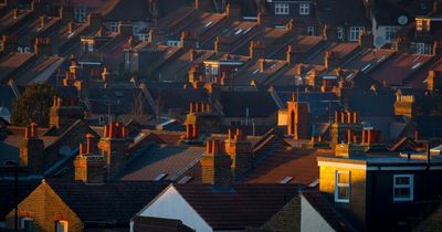 Your Move owner LSL reports record profits in booming house market