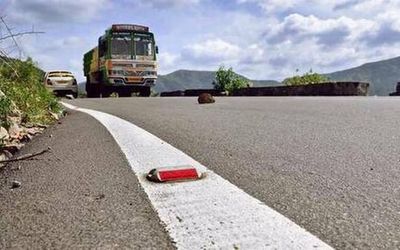 Madras High Court expresses concern over death of 152 wild animals in road accidents on Bannari-Dhimbam stretch