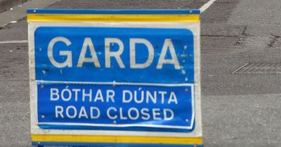 Meath road sealed off after man dies in car crash