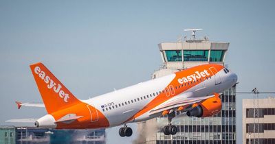 Omicron hits easyJet ticket sales - but airline reports 'significant' bounce-back