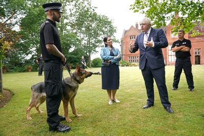 Pressure on UK PM mounts over Afghan pet evacuations