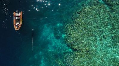 Great Barrier Reef to receive another $1 billion in funding to save jobs and environment