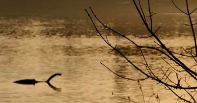 'Loch Ness Monster sighting' in London a dead ringer for mythical beast