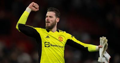 David de Gea nominated for Premier League Player of the Month award