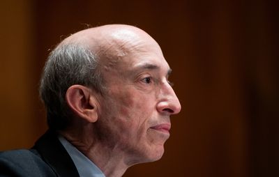 Past cases seen bolstering SEC’s case for requiring climate disclosure