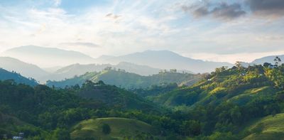 Coffee may become more scarce and expensive thanks to climate change – new research