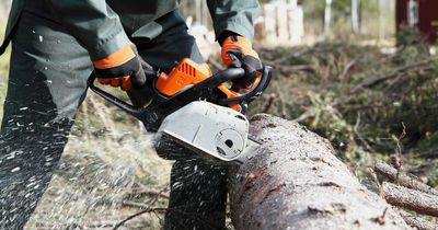 Neighbours warn of tree cutting scam targeting older people in Finglas