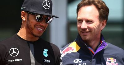 Christian Horner makes plea to rival Lewis Hamilton amid retirement fears