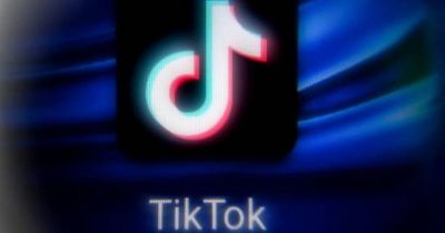 TikTok reveals new features to mark Holocaust Memorial Day