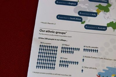 Stats NZ braces for $250m census