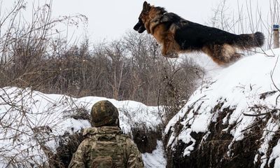 Historical parallels between Ukraine and Ireland