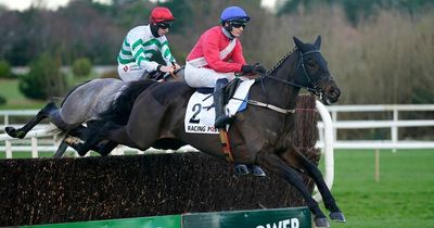 Ferny Hollow shock as Cheltenham Festival favourite ruled out of Arkle Trophy