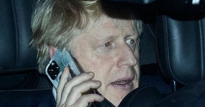 New evidence Boris Johnson 'lied' about animal rescue - just as he slams 'rhubarb' claims
