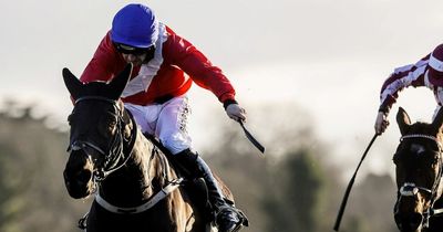 Ferny Hollow ruled out of Arkle Trophy at Cheltenham Festival