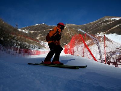 Winter Olympics: Is moving trees a viable solution in making space for new venues?