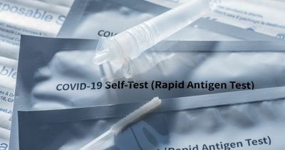 Covid NI: Health agencies reassure public that lateral flow tests are 'accurate and reliable'