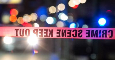 2 killed in Ravenswood shooting, car fire