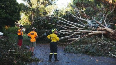Wet weekend ahead as trough moves over Canberra
