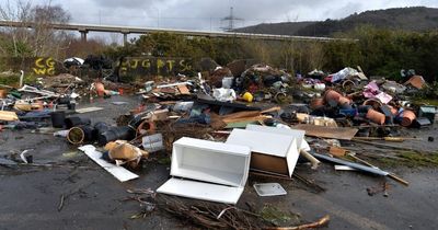 New tool shows how many times rubbish has been dumped near your house