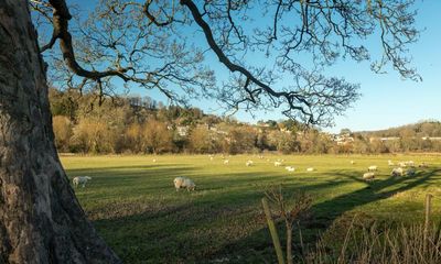 Bath ‘green corridor’ will be first of 20 to improve access to nature